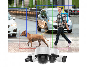 video surveillance example with boxes around a dog and a man near some cars